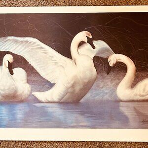 Harold Barnett Unframed Signed Swan. Print